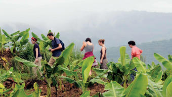The students at a banana plantation outside a village in southern Yunnan province. Photo: Shahid Naeem